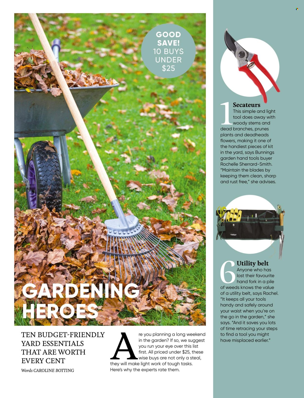 thumbnail - Bunnings Warehouse mailer - Sales products - fork, Sharp, hand tools, secateurs, belt, flowers. Page 42.