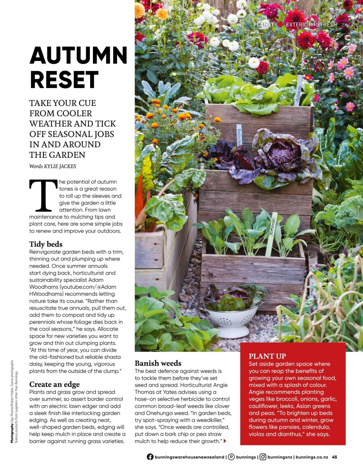 thumbnail - Bunnings Warehouse mailer - Sales products - straw, Yates, flowers, dianthus, outdoor flowers, garden mulch, compost, radicchio. Page 45.