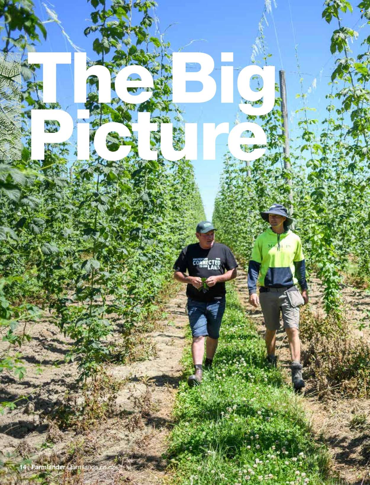 Farmlands catalogue. Page 1