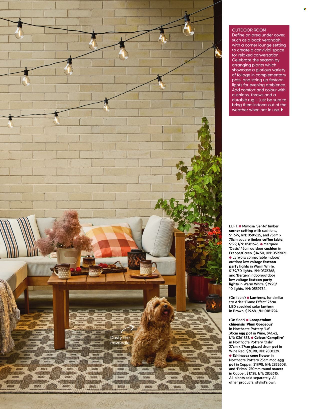 Bunnings Warehouse catalogue. Page 1