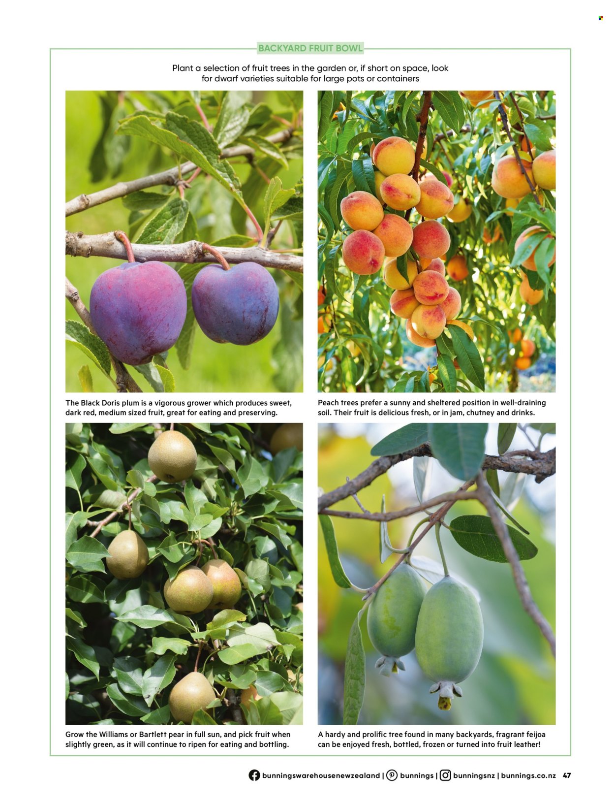 Bunnings Warehouse catalogue. Page 1