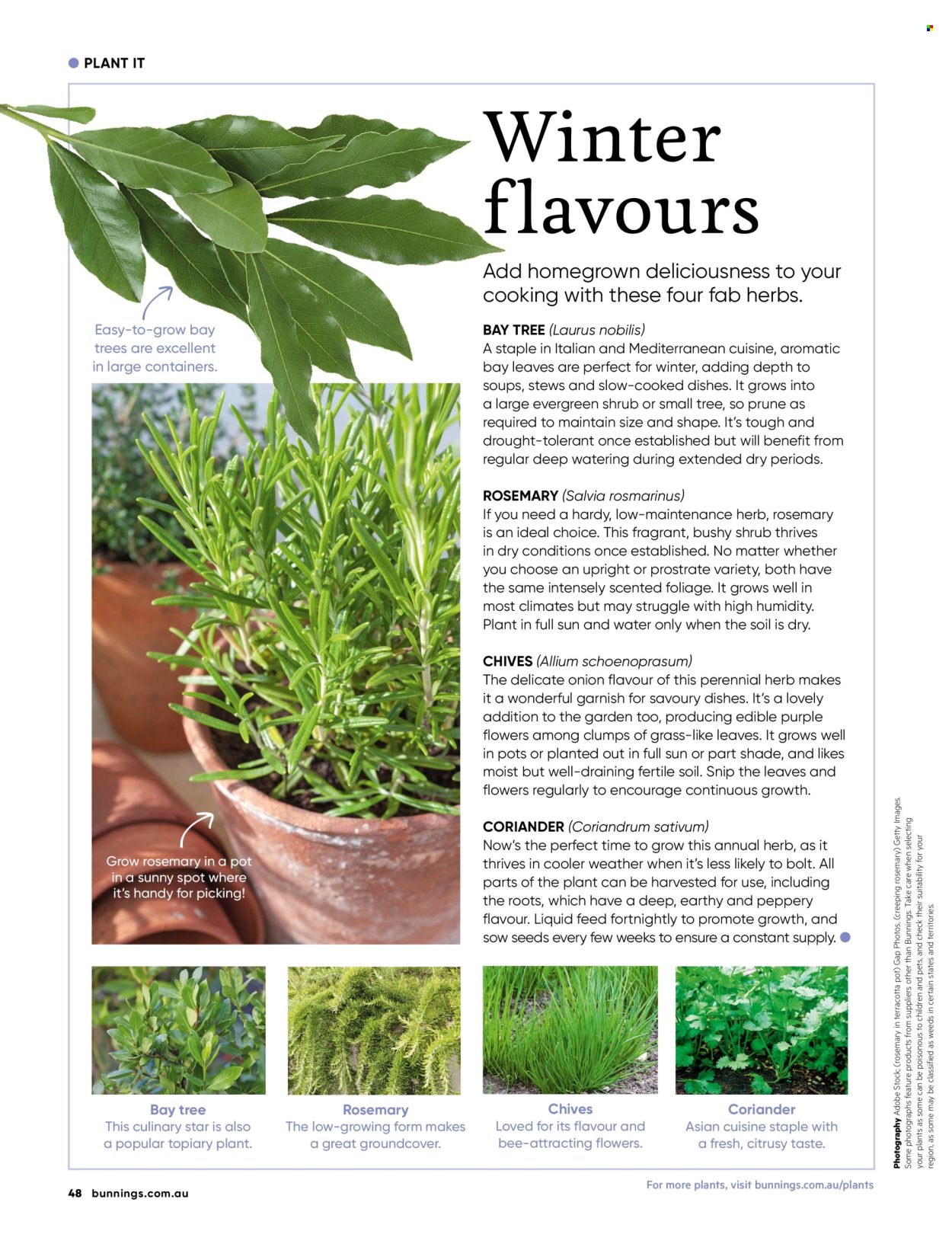 Bunnings Warehouse catalogue. Page 1