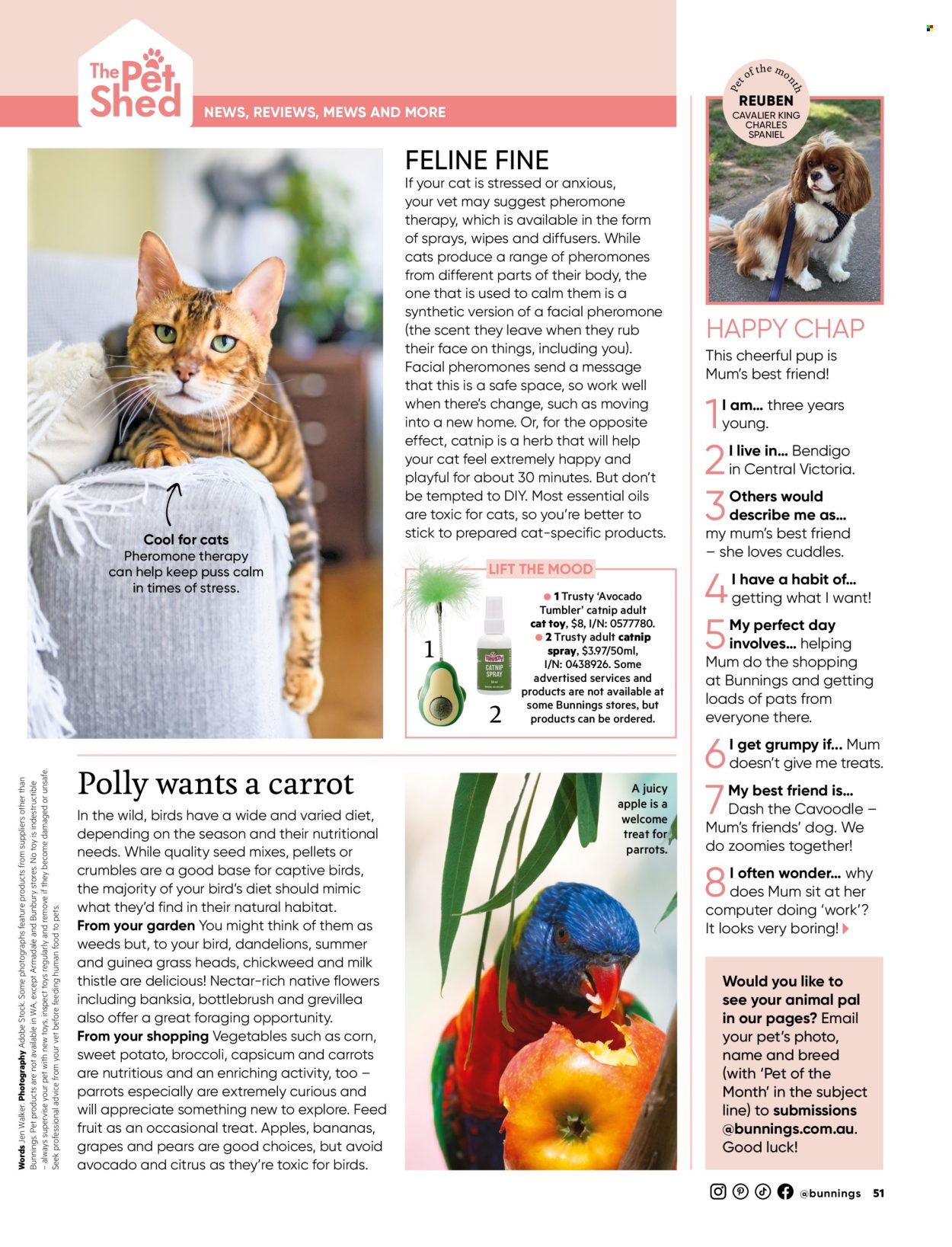 Bunnings Warehouse catalogue. Page 1