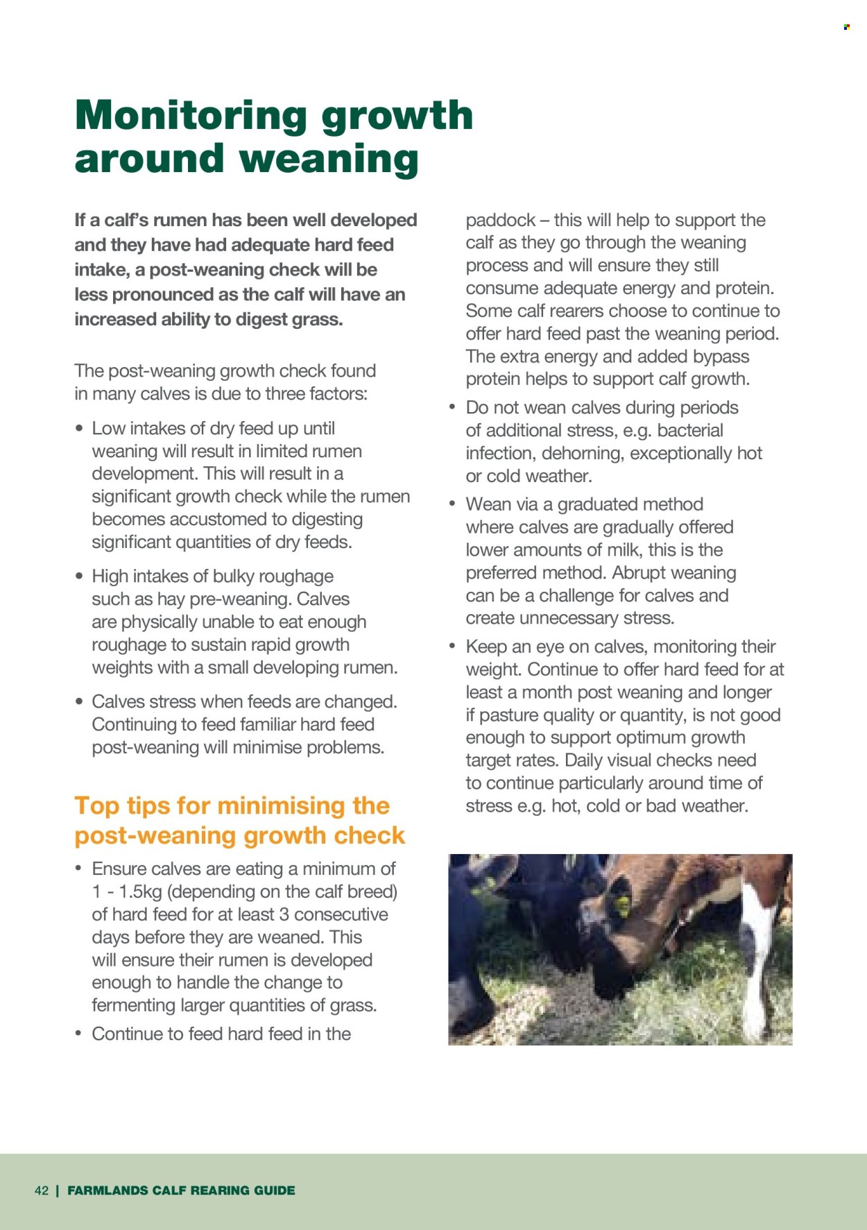 Farmlands catalogue. Page 1