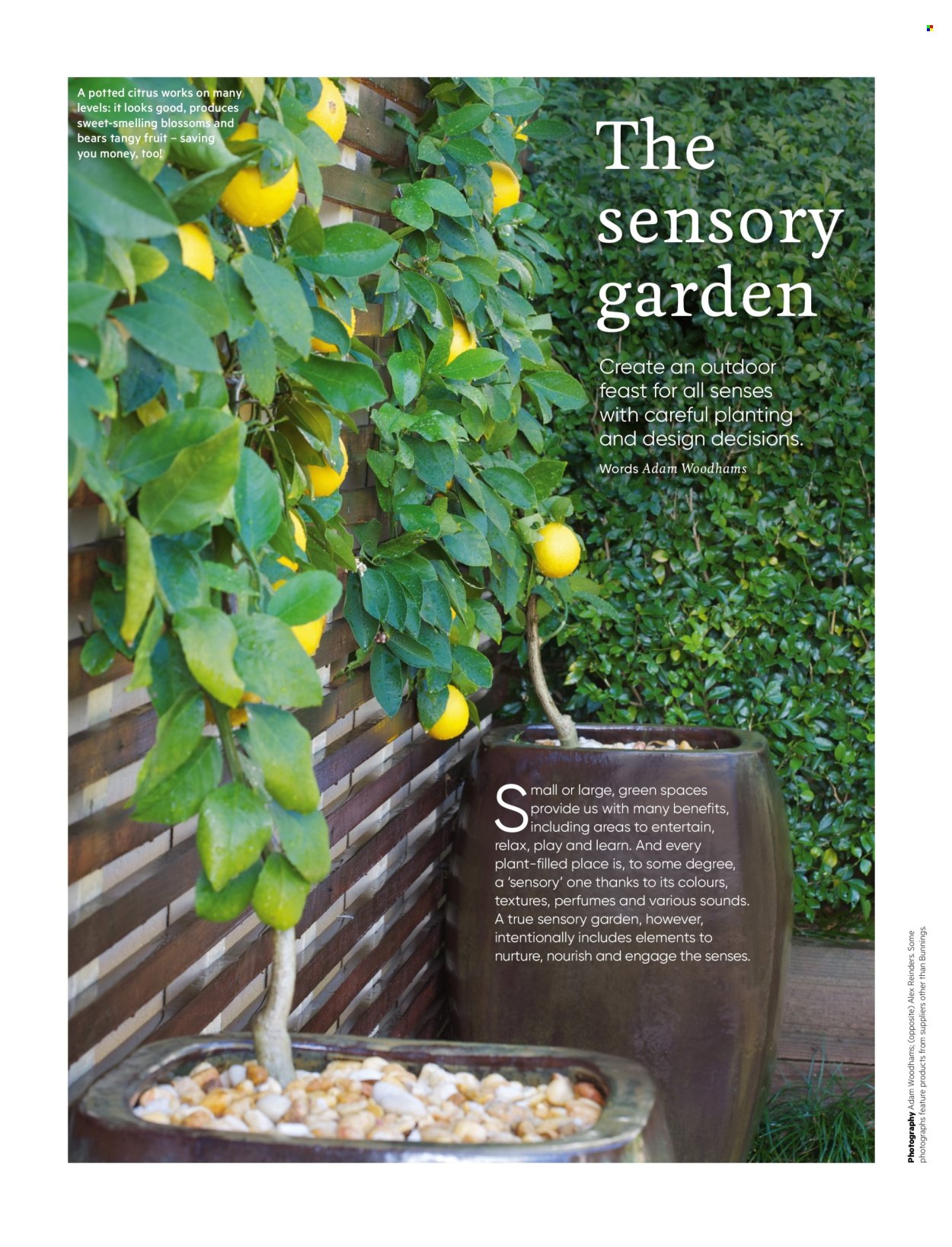 Bunnings Warehouse catalogue. Page 40