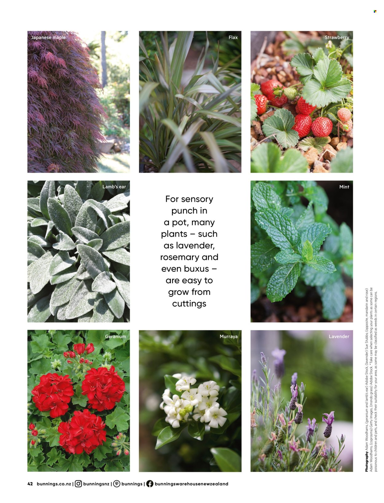 Bunnings Warehouse catalogue. Page 42