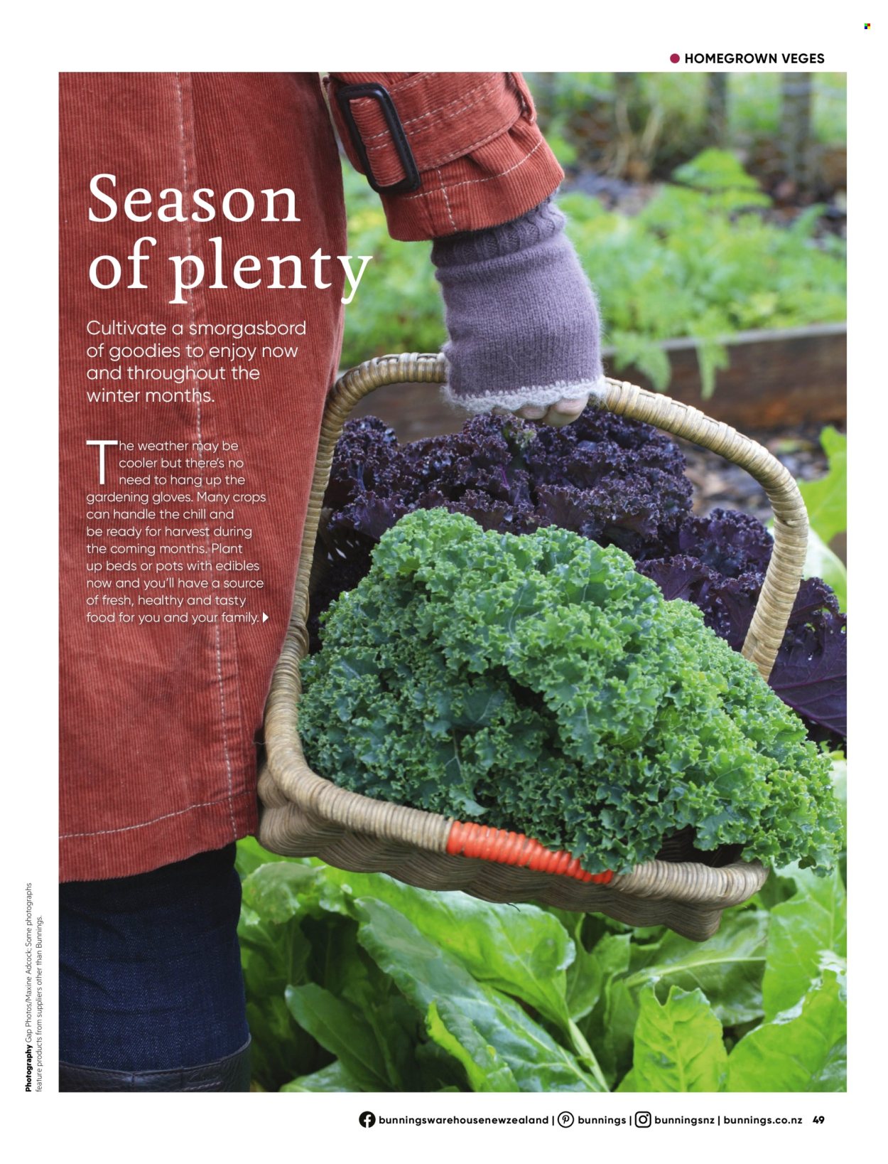 Bunnings Warehouse catalogue. Page 49