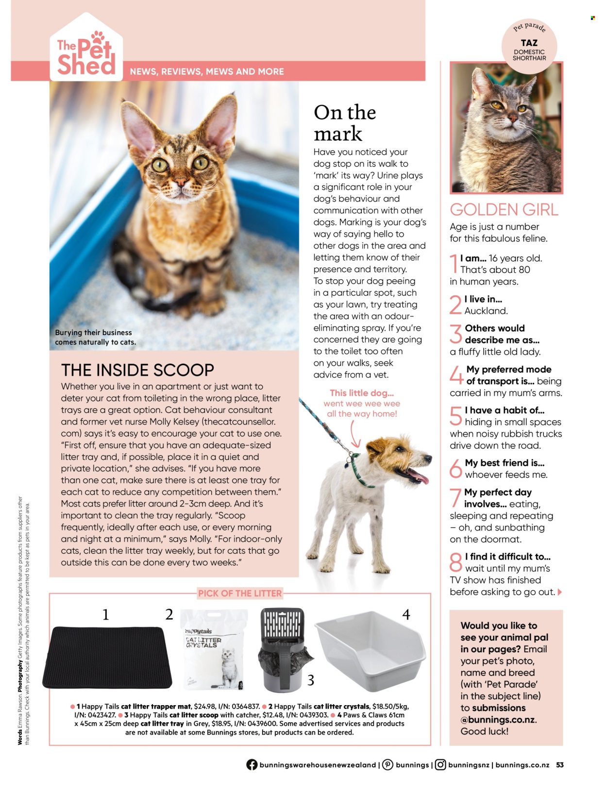 Bunnings Warehouse catalogue. Page 53